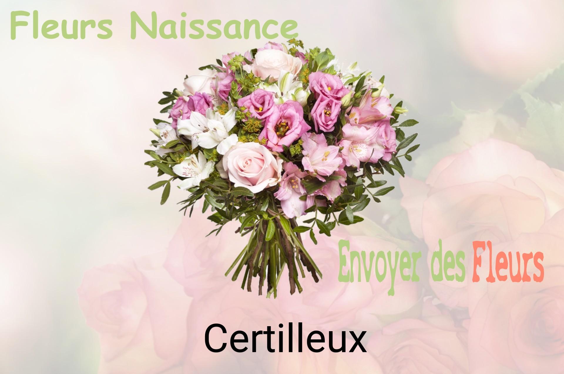 Bouquet de fleurs de naissance livré à Certilleux