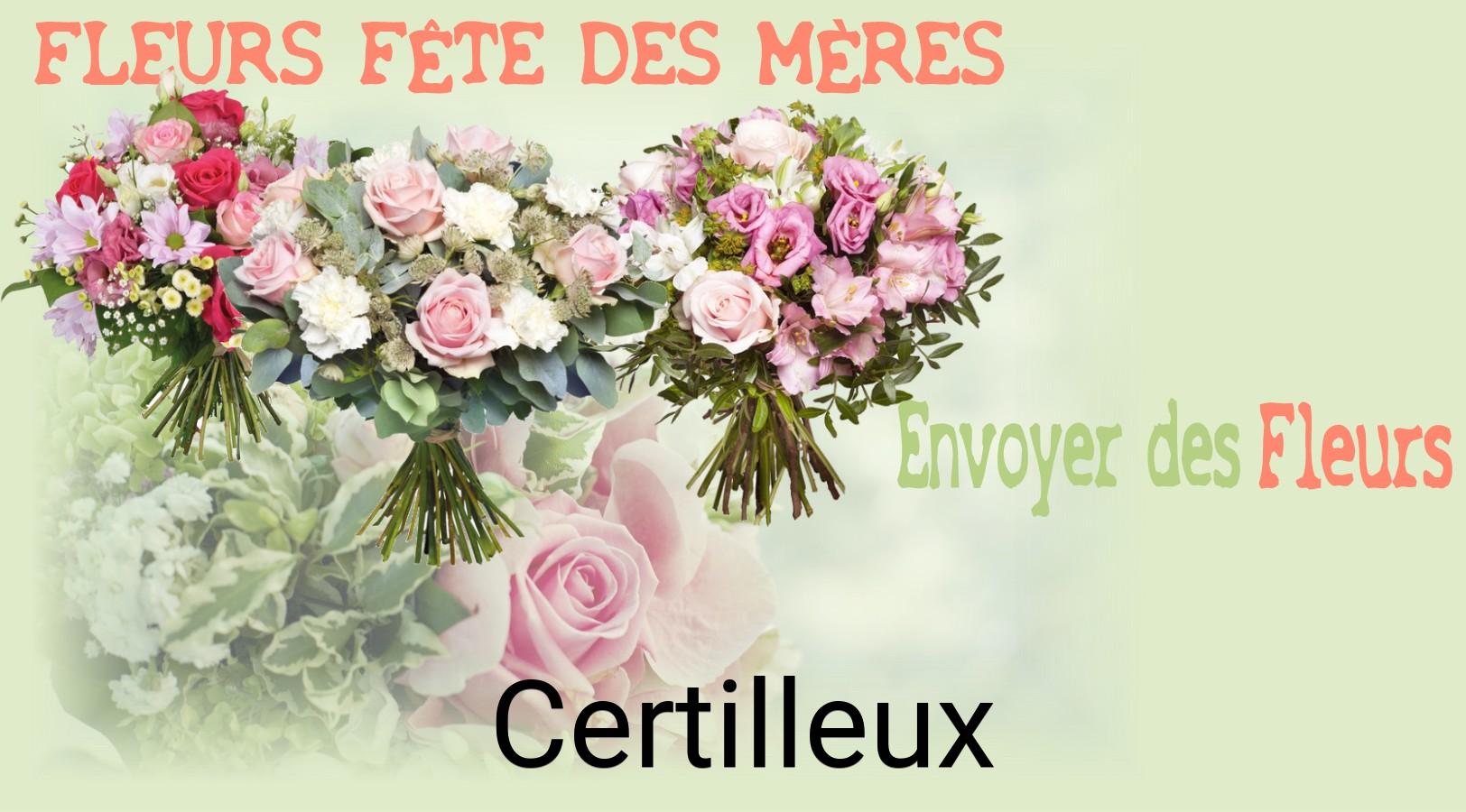 Bouquet de Fête des Mères livré à Certilleux
